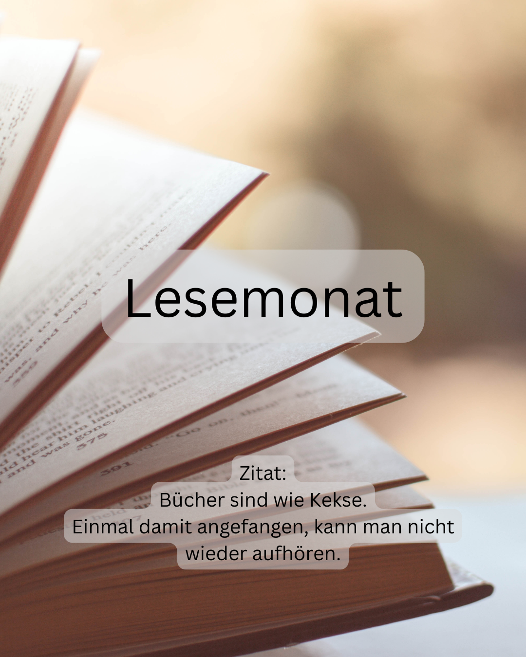 Lesemonat Mai 25 und Update 25für25