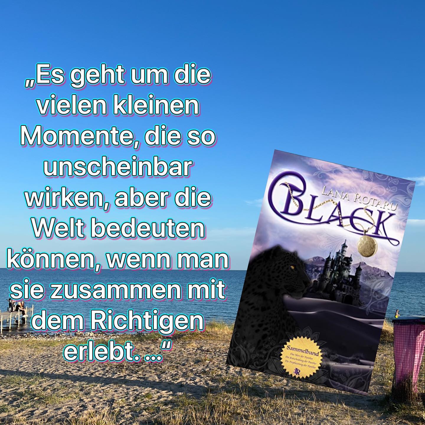 Black - Trilogie von Lana Rotaru